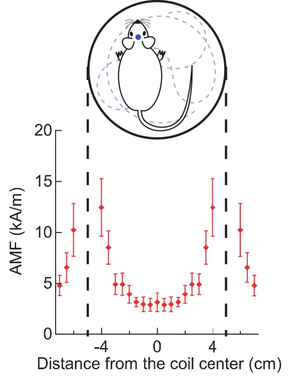 Barra magnetica per corsi di formazione ed esperimenti